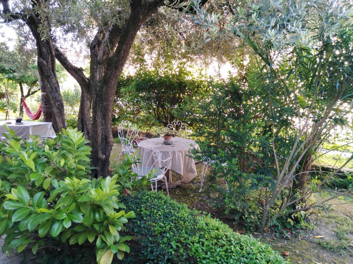 Casa Irene Bed and Breakfast Torri di Quartesolo Eksteriør billede